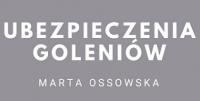 logo firmy